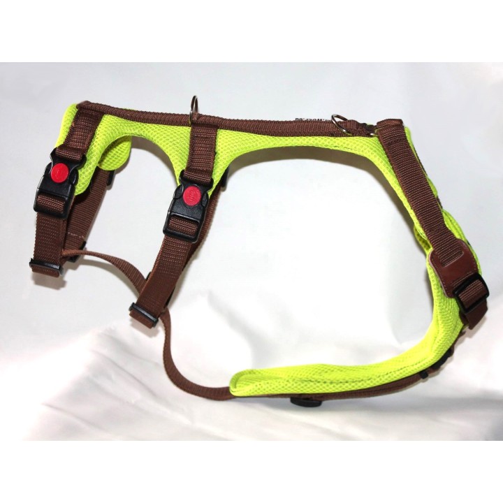 H harness for Greyhound