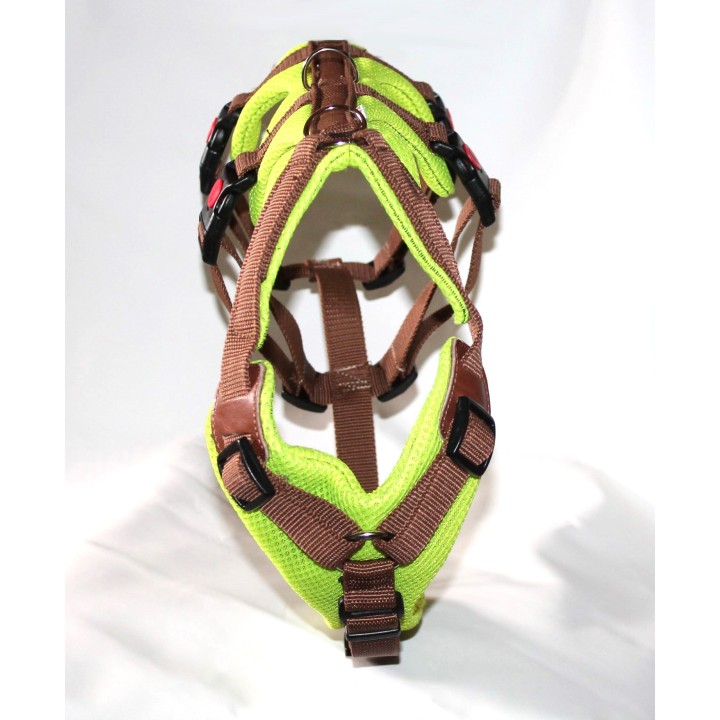 H harness for Greyhound