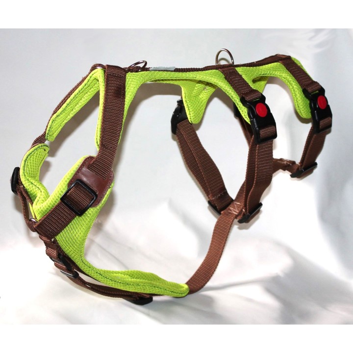 H harness for Greyhound