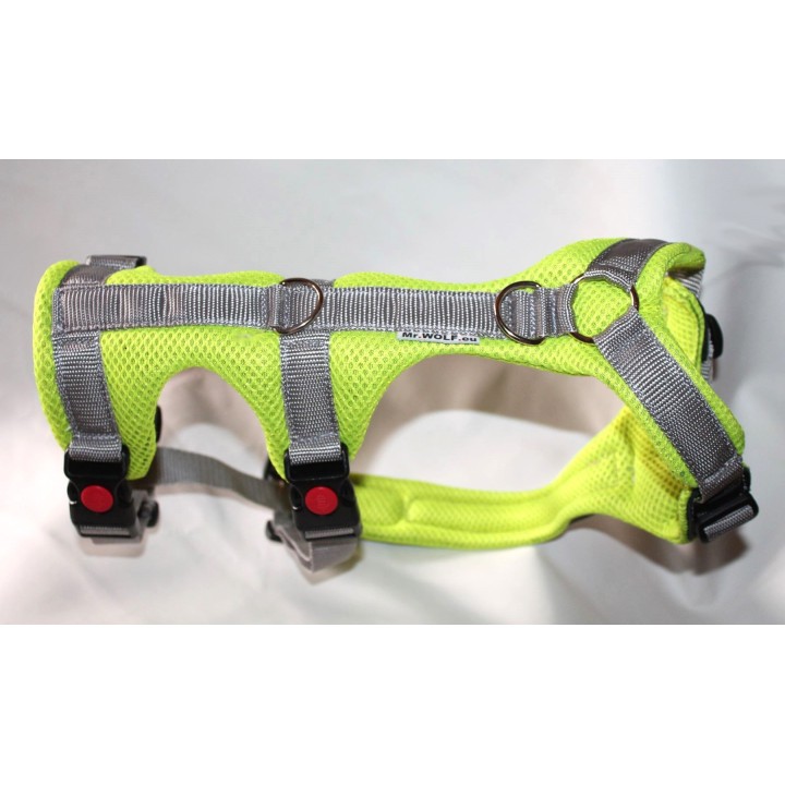 H harness for Greyhound