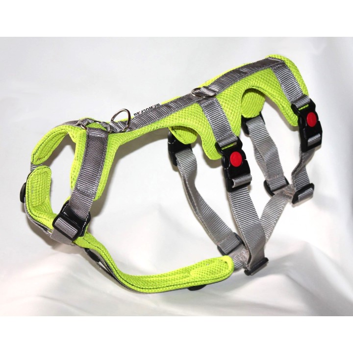 pettorina a doppia H per levriero