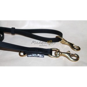 Guinzaglio lungo con 2...