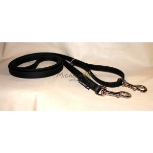 Guinzaglio lungo con 2...