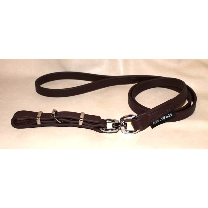 leash in biothane whith buckle