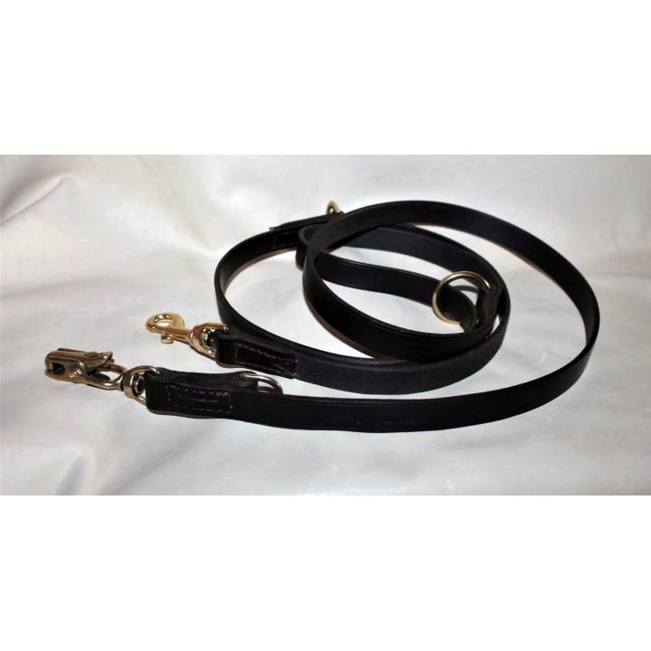 leash with quick release carabiner