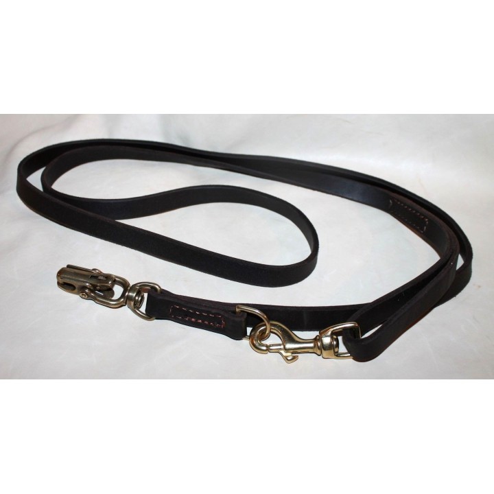 leash with quick release carabiner