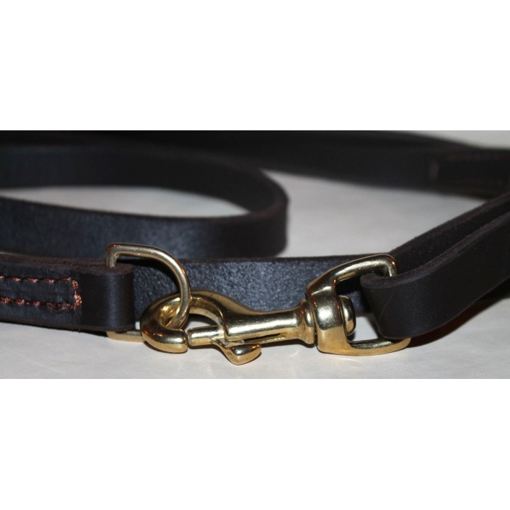 leash with quick release carabiner