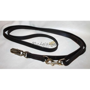 leash with quick release...