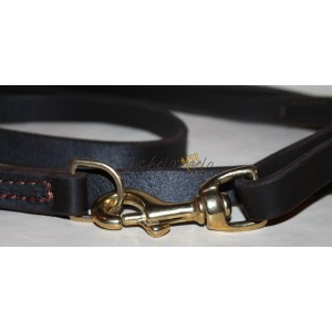 leash with quick release...