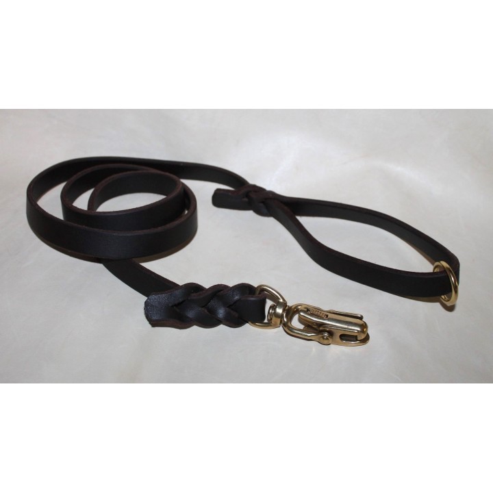 leash with quick release carabiner