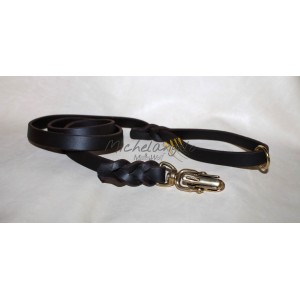 leash with quick release...