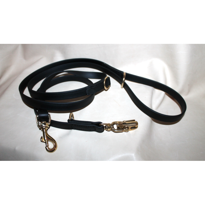 leash with quick release carabiner