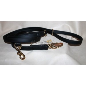 leash with quick release...