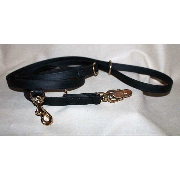 leash with quick release carabiner