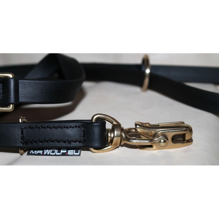 leash with quick release carabiner