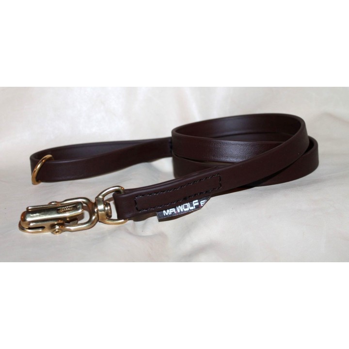 leash with quick release carabiner