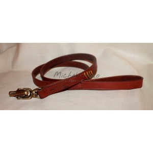 leash with quick release...