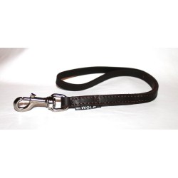 short leash for dog