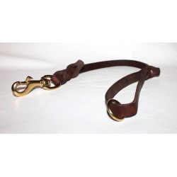 short leash for dog