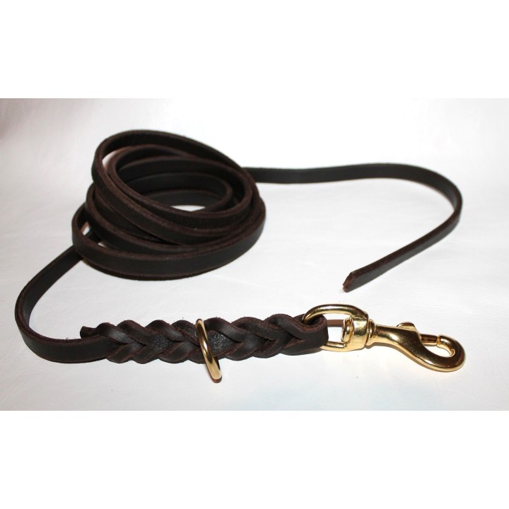 Leather long leash
