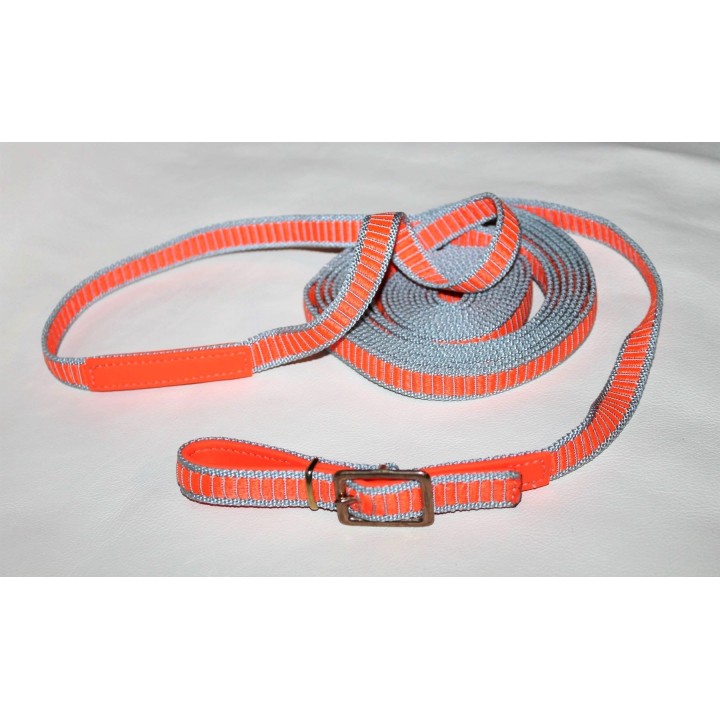 long leash in nylon