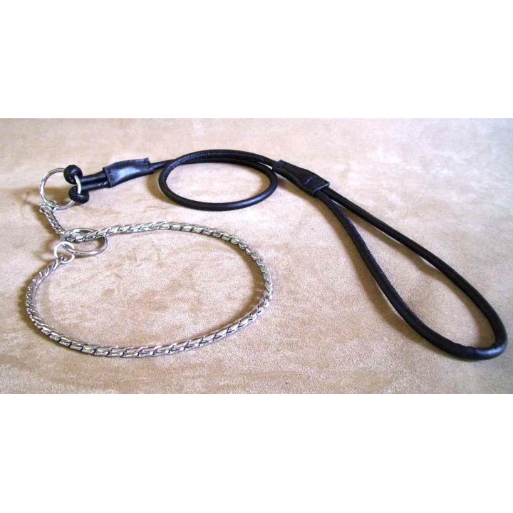 Show dog collar