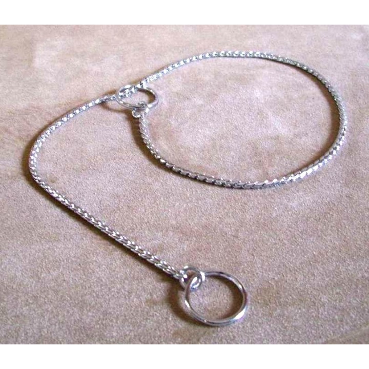 Show dog collar