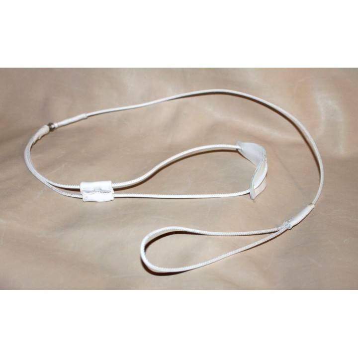 Leather leash for dog show