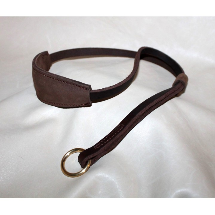 collare esposizione canina