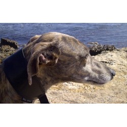 leather collar with maryingala for galgo
