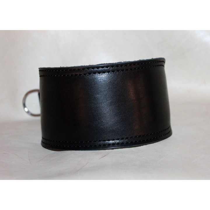 greyhound collar