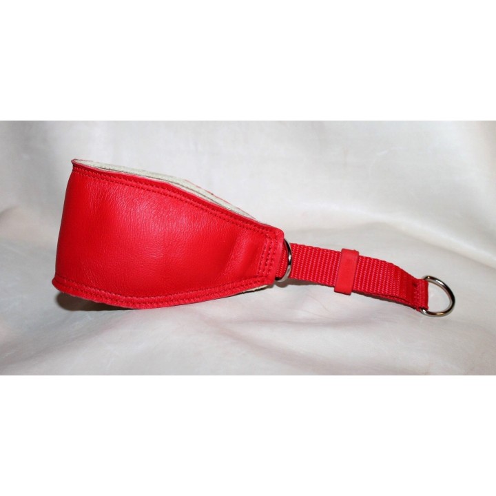 greyhound collar
