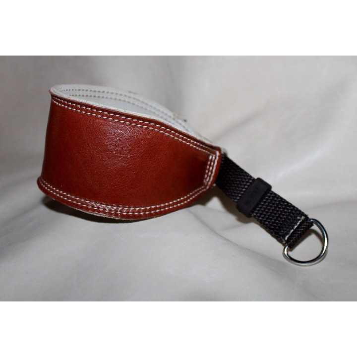 greyhound collar