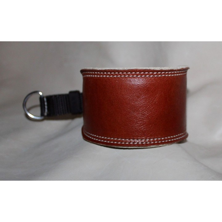 greyhound collar
