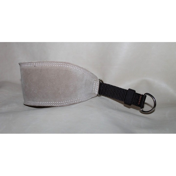 greyhound collar