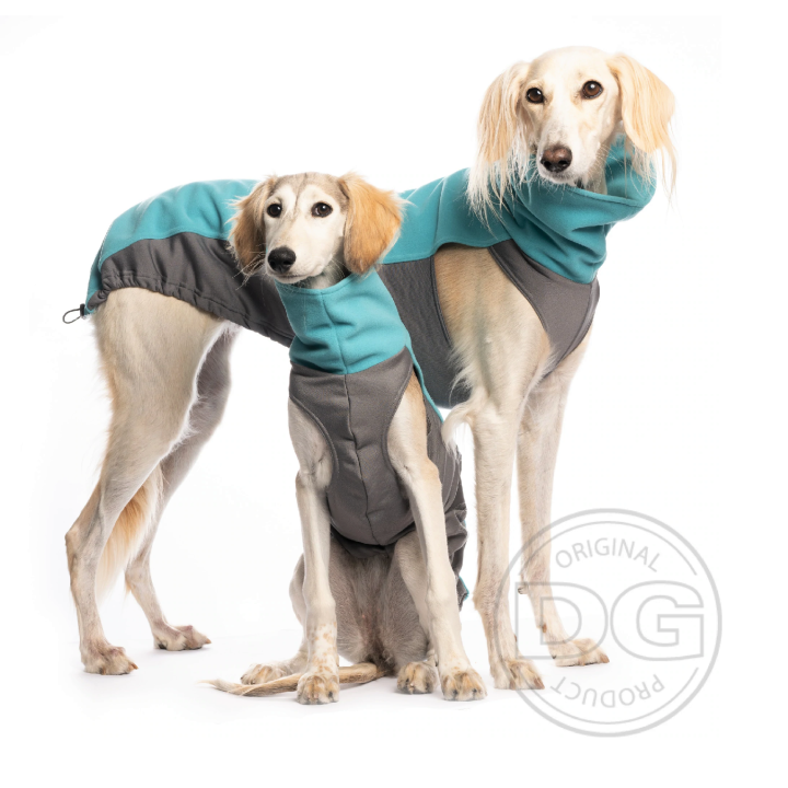 Greyhound outdoor top shirt