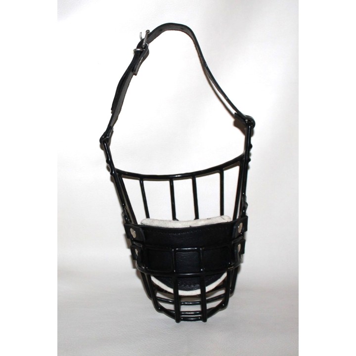 muzzle for pit bull pitbull american pit bull terrier