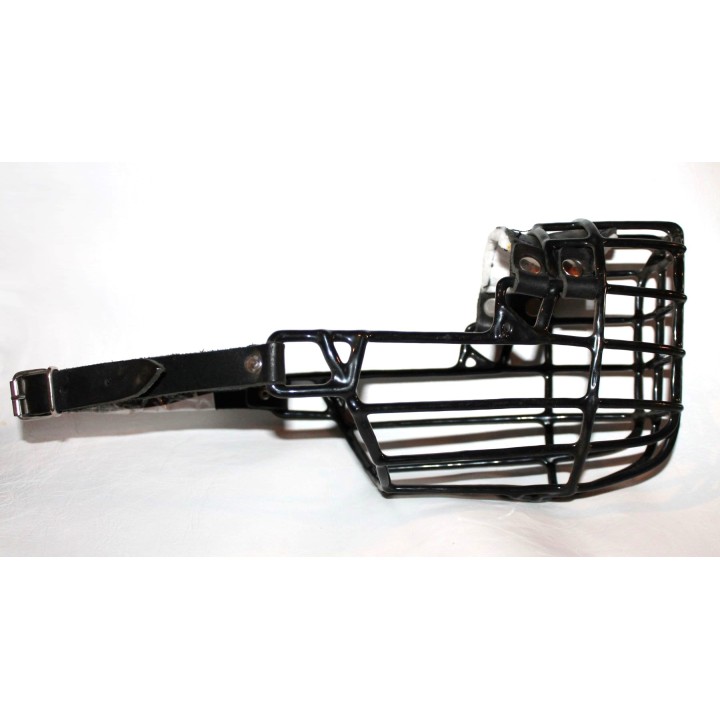 muzzle for rhodesian ridgeback