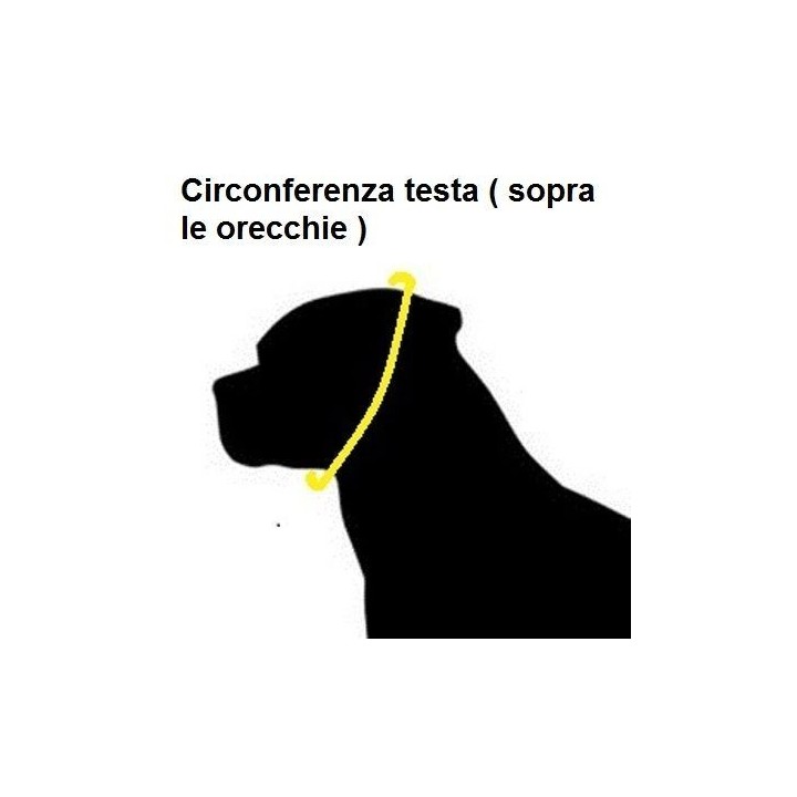 stainless steel collar sprenger