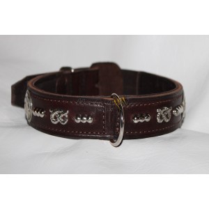 Staffordshire Bull Terrier...