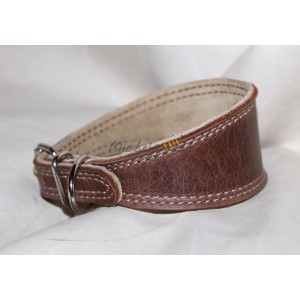 Italian Greyhound Collar Darcy