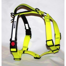 pettorina in biothane per cani