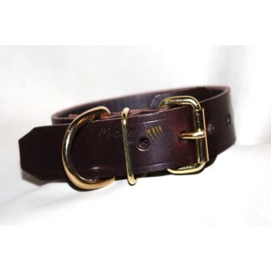 leather collar Dylan