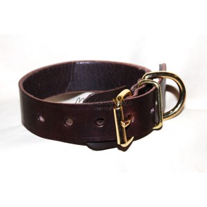leather collar Dylan