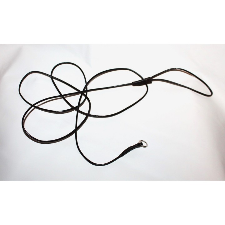 Leather leash for dog show