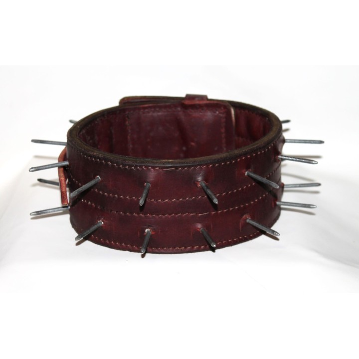 bite protection collar