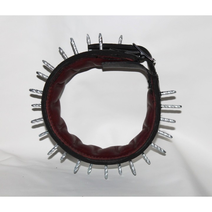 bite protection collar