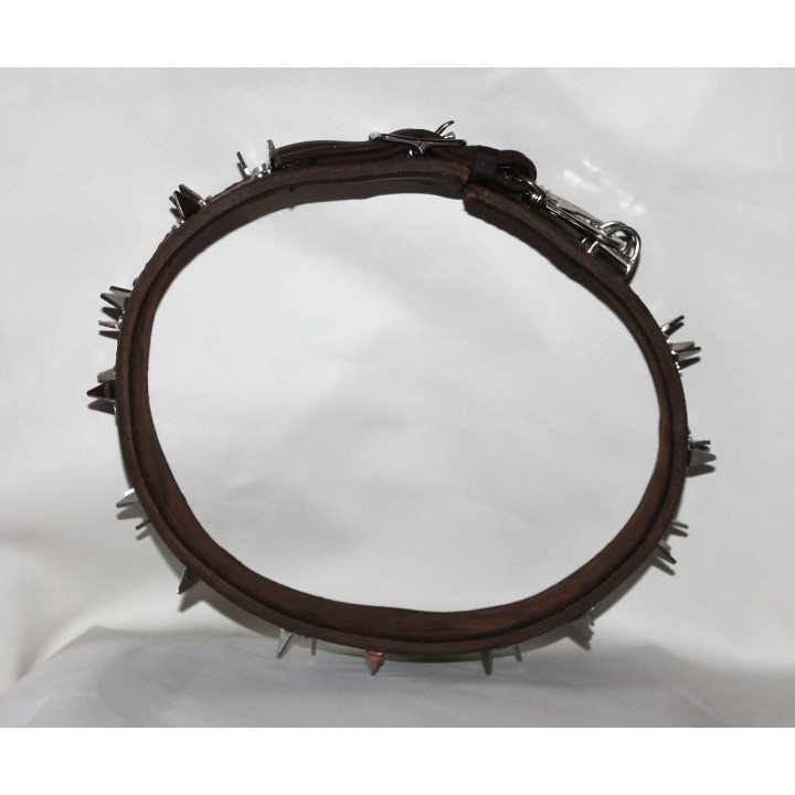 bite protection collar