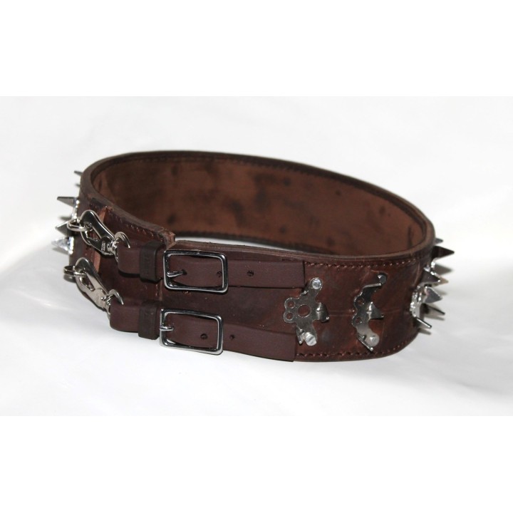 bite protection collar