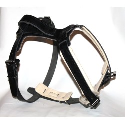 leather harness for training
